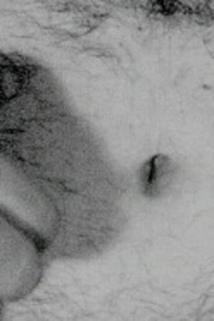 Openings's poster