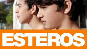 Esteros's poster