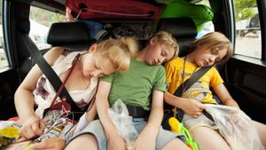 The Anderssons Hit the Road's poster