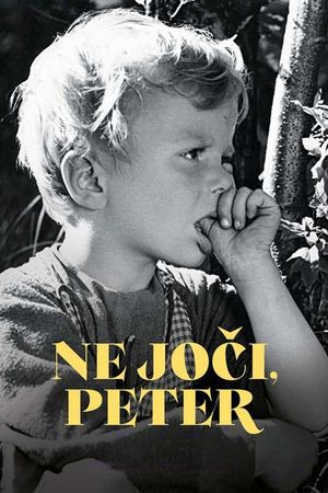 Don't Cry Peter's poster