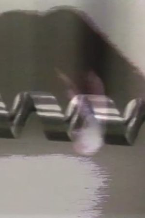 My TV Dictionary: The Drill's poster image