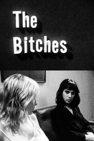 The Bitches's poster