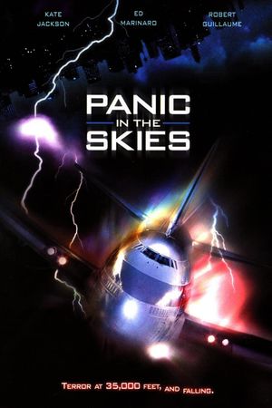 Panic in the Skies's poster