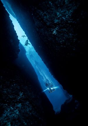47 Meters Down's poster