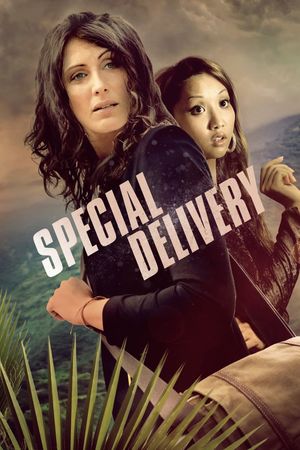 Special Delivery's poster