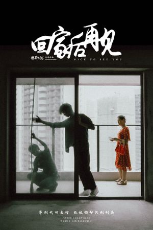 回家后再见's poster
