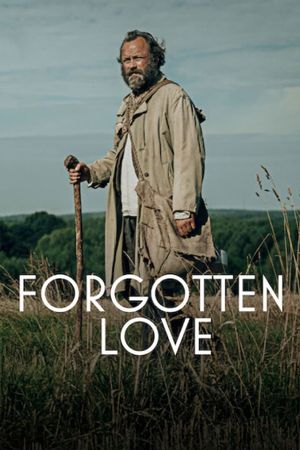 Forgotten Love's poster