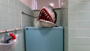 Ido Shark's poster