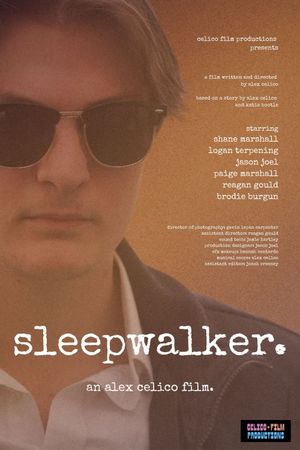 Sleepwalker's poster