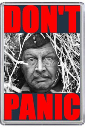 Don't Panic: The Dad's Army Story's poster image