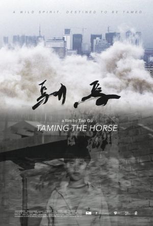 Taming the Horse's poster