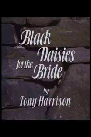 Black Daisies For The Bride's poster