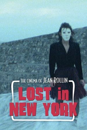 Lost in New York's poster