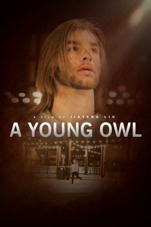 A Young Owl's poster image