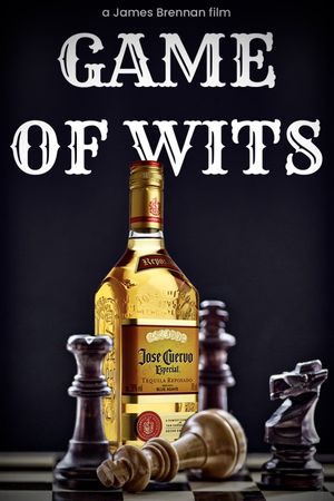 Game of Wits's poster