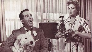 The Shaggy Dog's poster