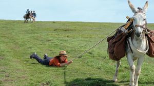 My Donkey, My Lover & I's poster