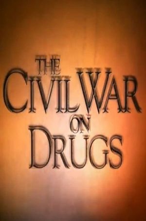 The Civil War on Drugs's poster