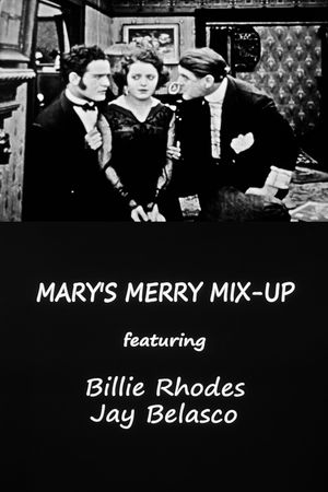 Mary's Merry Mix-Up's poster