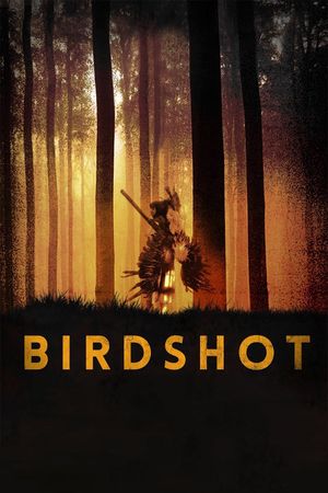 Birdshot's poster