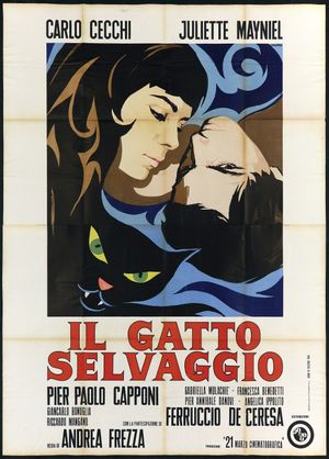 The Wildcat's poster