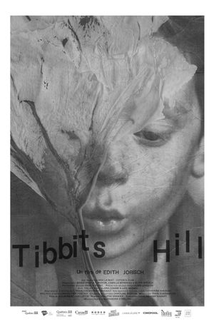 Tibbits Hill's poster