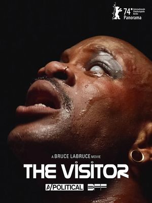 The Visitor's poster