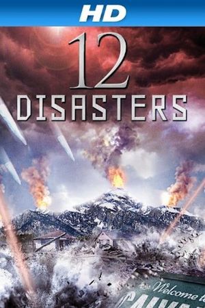 The 12 Disasters of Christmas's poster
