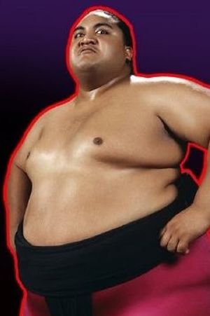 Biography: Yokozuna's poster