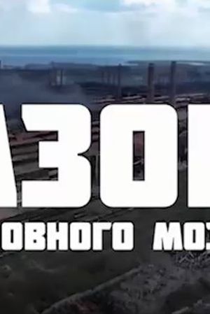 Azov Brain Rot's poster