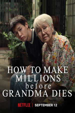 How to Make Millions Before Grandma Dies's poster