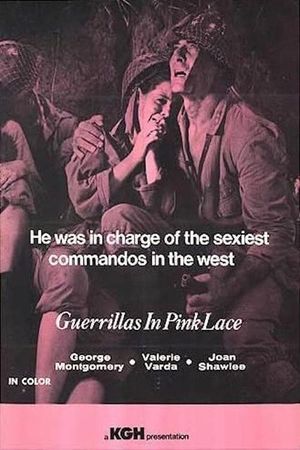 Guerillas in Pink Lace's poster