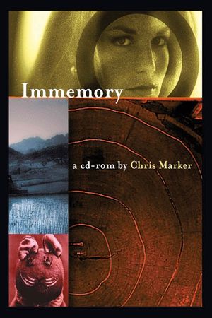 Immemory's poster