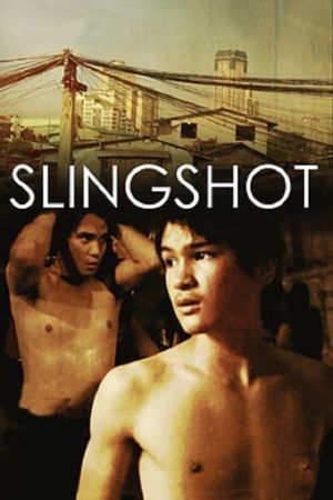 Slingshot's poster