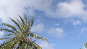 The Sky Is A Sea's poster