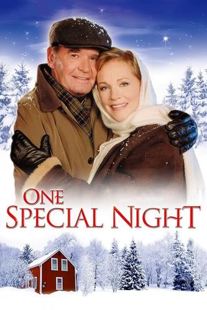 One Special Night's poster