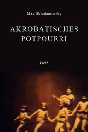 Akrobatisches Potpourri's poster