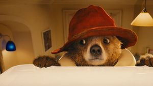 Paddington's poster