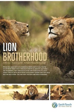 Lion Brotherhood's poster