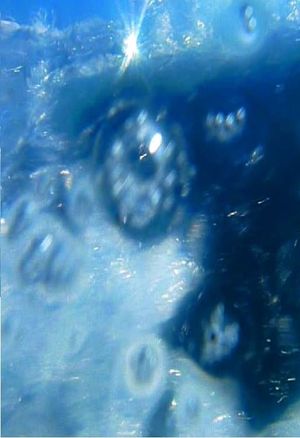 A fleur d’eau…'s poster