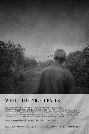 While The Night Falls's poster