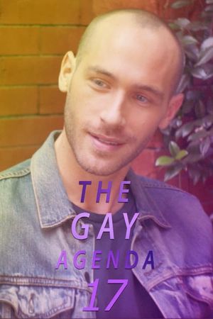 The Gay Agenda 17's poster