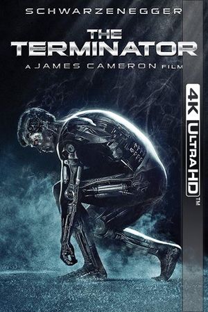 The Terminator's poster