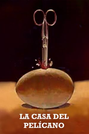 La casa del pelícano's poster