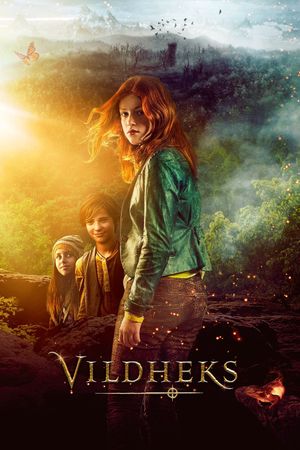 Wild Witch's poster