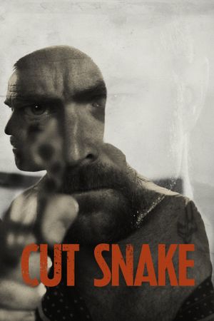 Cut Snake's poster