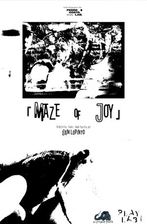 Maze of Joy's poster