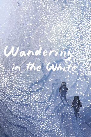 Wandering in the White's poster
