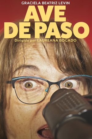 Ave de paso's poster image