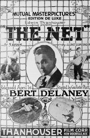 The Net's poster